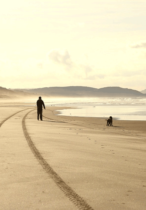 Plage-autorisee-chien-40-64